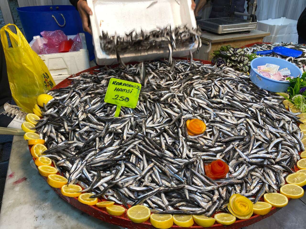 Menteşe’de Balığa Yoğun İlgi: Tezgahlarda Fiyatlar 250 Liradan Başlıyor 2